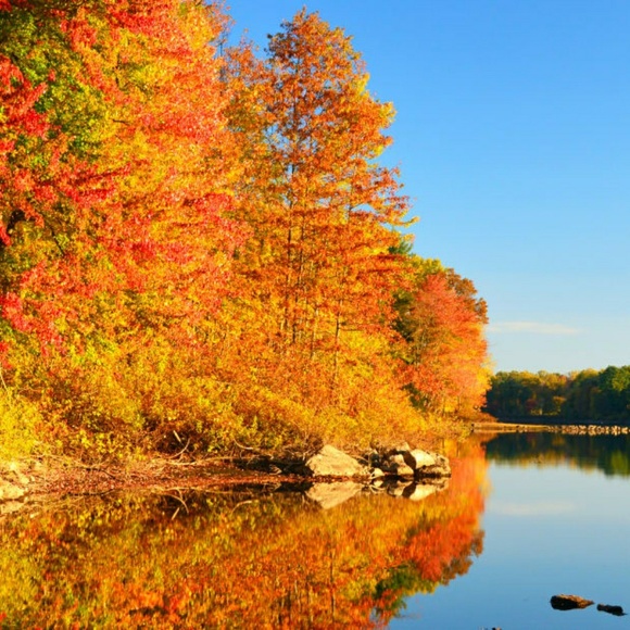 Meet your Posher, Laura - Picture 1 of 1